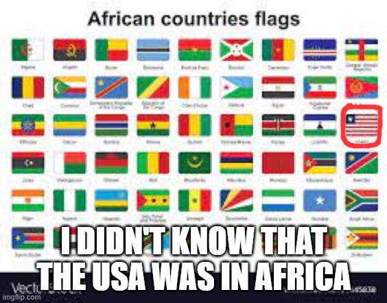 fun facts you did not know: | I DIDN'T KNOW THAT THE USA WAS IN AFRICA | image tagged in memes | made w/ Imgflip meme maker