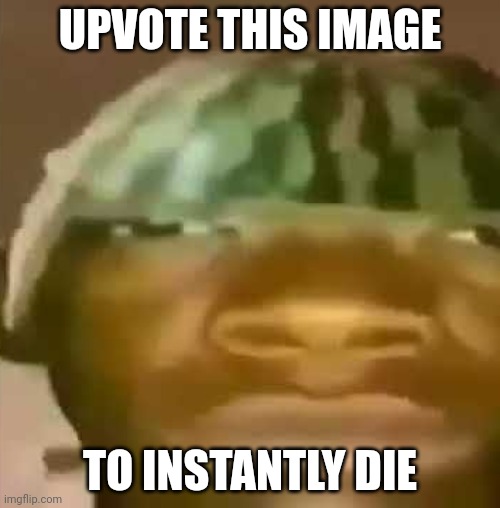 No cap ;) | UPVOTE THIS IMAGE; TO INSTANTLY DIE | made w/ Imgflip meme maker