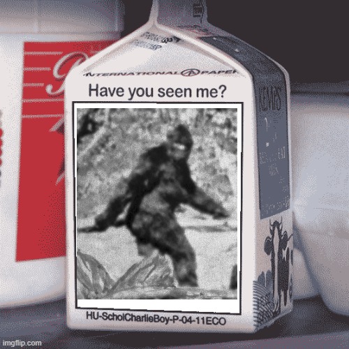 He's still out there... | image tagged in missing person,bigfoot | made w/ Imgflip meme maker