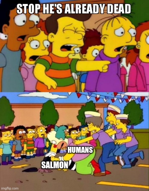 The stream description says the less context the better, so I just won't give you any | HUMANS; SALMON | image tagged in stop he's already dead | made w/ Imgflip meme maker