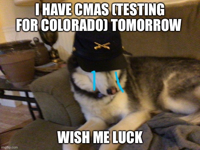 I do not want tomorrow to come | I HAVE CMAS (TESTING FOR COLORADO) TOMORROW; WISH ME LUCK | image tagged in union husky,school,testing,cmas | made w/ Imgflip meme maker