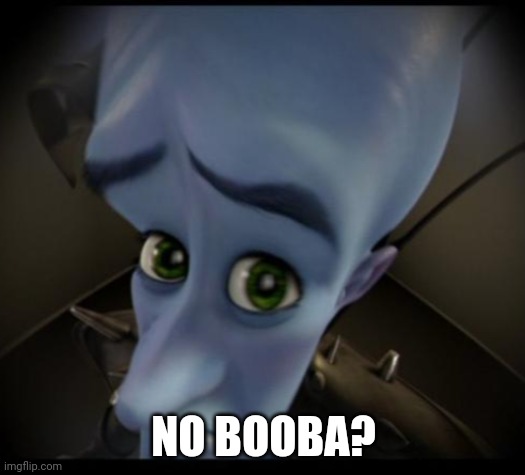 Megamind peeking | NO BOOBA? | image tagged in no bitches | made w/ Imgflip meme maker