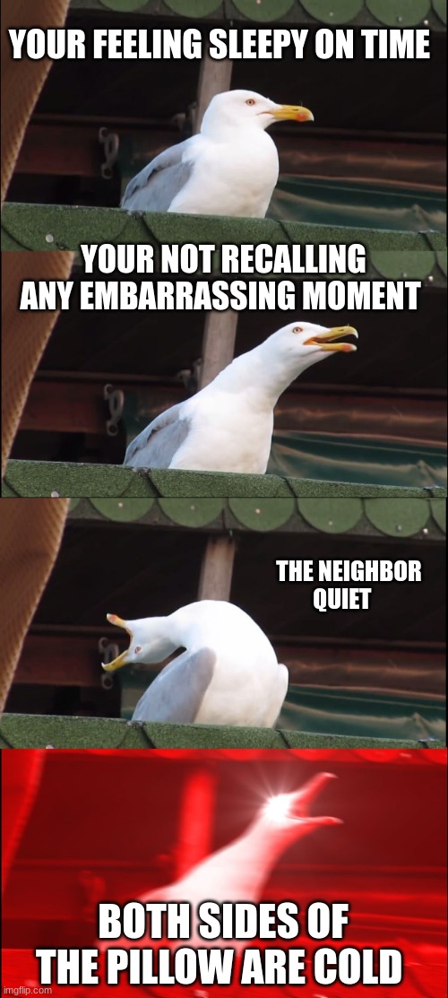 Inhaling Seagull Meme | YOUR FEELING SLEEPY ON TIME; YOUR NOT RECALLING ANY EMBARRASSING MOMENT; THE NEIGHBOR QUIET; BOTH SIDES OF THE PILLOW ARE COLD | image tagged in memes,inhaling seagull,yes,peace,quiet | made w/ Imgflip meme maker