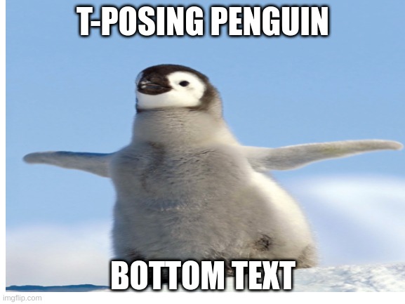 T-Posing Penguin |  T-POSING PENGUIN; BOTTOM TEXT | image tagged in t-pose,penguin,cute,weird,funny | made w/ Imgflip meme maker