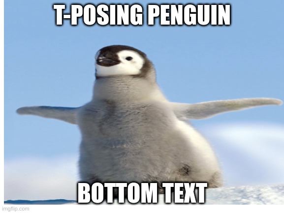 T-Posing Penguin | T-POSING PENGUIN; BOTTOM TEXT | image tagged in t-pose,penguin,cute,weird,funny | made w/ Imgflip meme maker