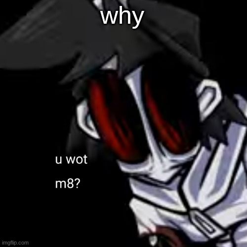 why | why | image tagged in u wot m8 gold,why | made w/ Imgflip meme maker