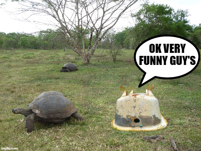 tortoise prank | OK VERY FUNNY GUY'S | image tagged in tortise,prank | made w/ Imgflip meme maker