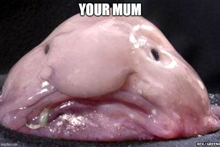 YOUR MUM | image tagged in your mum | made w/ Imgflip meme maker