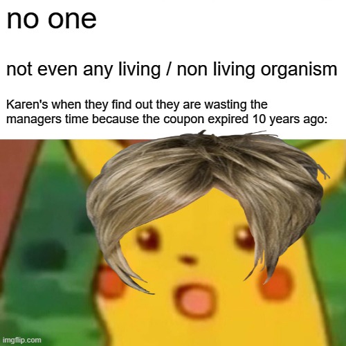like the world will change to a better place if Karen's understood..... | no one; not even any living / non living organism; Karen's when they find out they are wasting the managers time because the coupon expired 10 years ago: | image tagged in memes,surprised pikachu | made w/ Imgflip meme maker