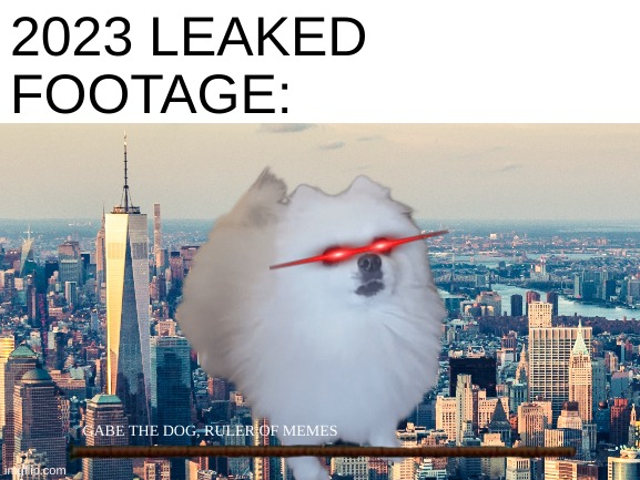 You thought Carl and Matt were the secret final bosses? Well, you were WRONG!! | 2023 LEAKED FOOTAGE:; GABE THE DOG, RULER OF MEMES | image tagged in gabe the dog,leaks | made w/ Imgflip meme maker