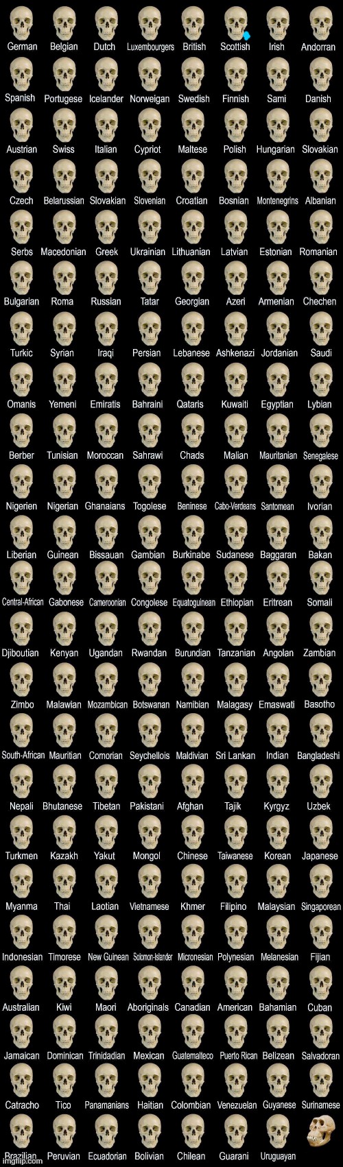 Deformed skull | image tagged in deformed skull | made w/ Imgflip meme maker