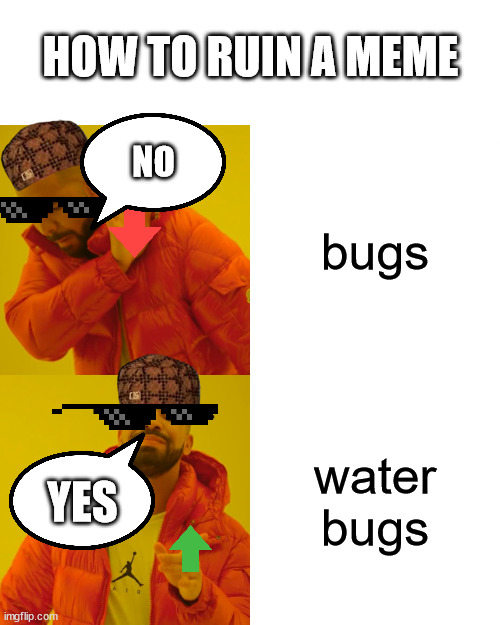 cringe | HOW TO RUIN A MEME; bugs; NO; water bugs; YES | image tagged in memes,drake hotline bling | made w/ Imgflip meme maker