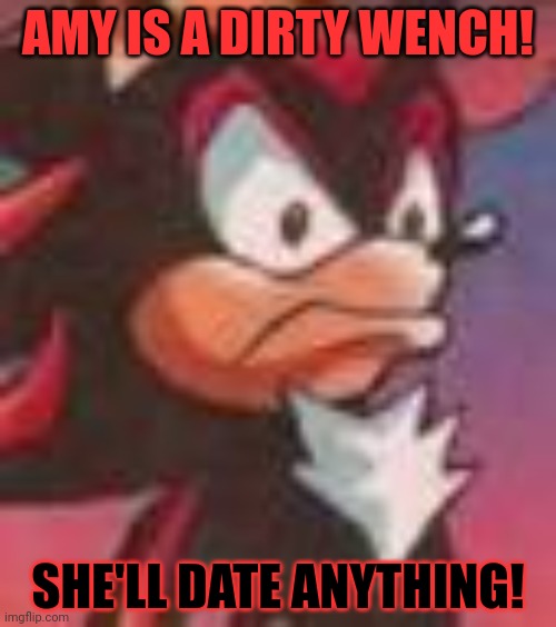 Shadow the Hedgehog | AMY IS A DIRTY WENCH! SHE'LL DATE ANYTHING! | image tagged in shadow the hedgehog | made w/ Imgflip meme maker