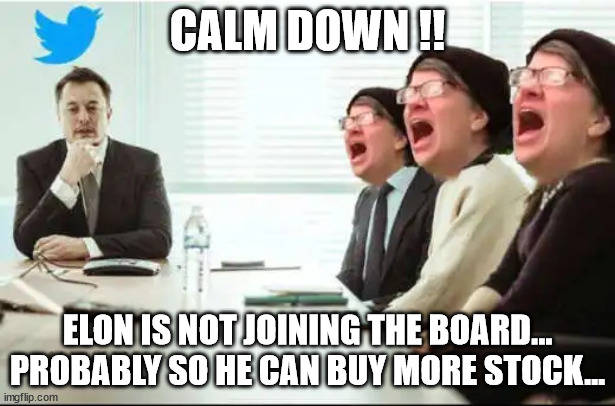 Triggered libtards... | CALM DOWN !! ELON IS NOT JOINING THE BOARD... PROBABLY SO HE CAN BUY MORE STOCK... | image tagged in triggered liberal,elon musk,twitter | made w/ Imgflip meme maker