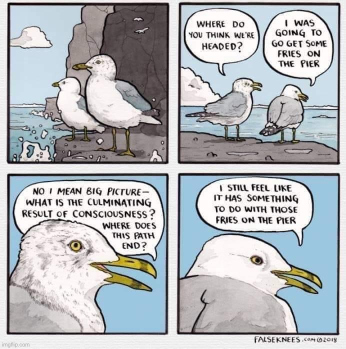 Existential seagulls | image tagged in existential seagulls,existential,philosophy,comic,cartoons,comics/cartoons | made w/ Imgflip meme maker