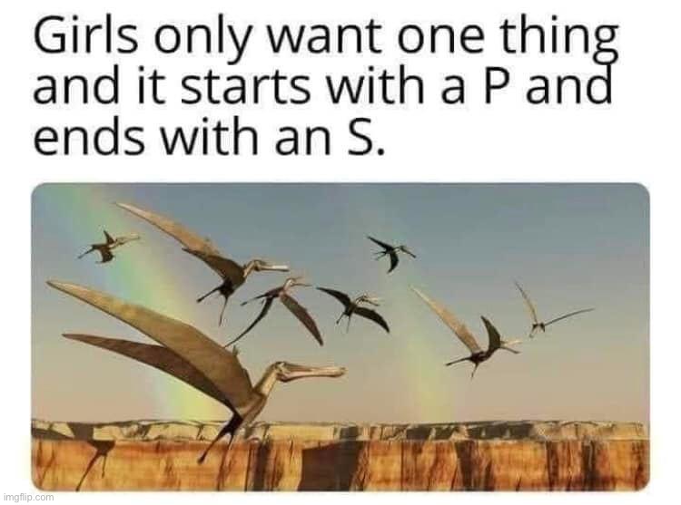 Pterodactyls | image tagged in pterodactyls | made w/ Imgflip meme maker