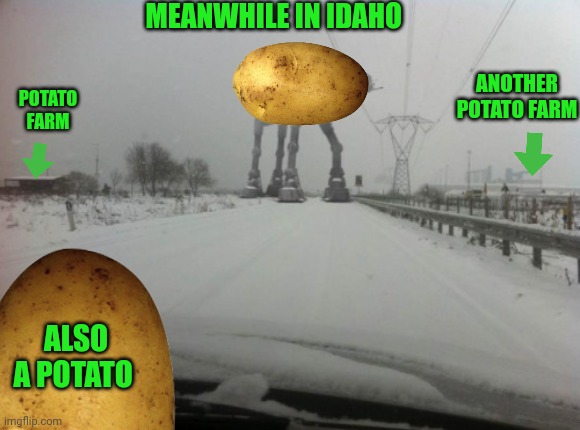 Idaho problems | MEANWHILE IN IDAHO; ANOTHER POTATO FARM; POTATO FARM; ALSO A POTATO | image tagged in idaho,problems,potatoes | made w/ Imgflip meme maker