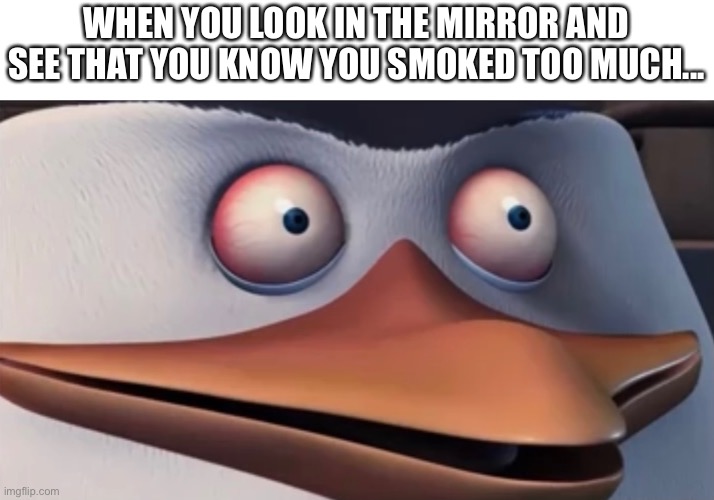Meme | WHEN YOU LOOK IN THE MIRROR AND SEE THAT YOU KNOW YOU SMOKED TOO MUCH... | image tagged in meme | made w/ Imgflip meme maker