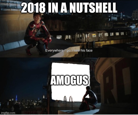2018 in a nutshell | 2018 IN A NUTSHELL; AMOGUS | image tagged in every where i go i see his face | made w/ Imgflip meme maker