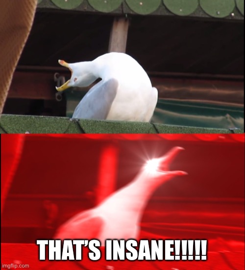 Screaming bird | THAT’S INSANE!!!!! | image tagged in screaming bird | made w/ Imgflip meme maker