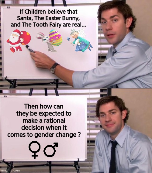 Jim Halpert Explains | If Children believe that Santa, The Easter Bunny, and The Tooth Fairy are real... Then how can they be expected to make a rational decision when it comes to gender change ? | image tagged in memes,political meme,jim halpert explains | made w/ Imgflip meme maker