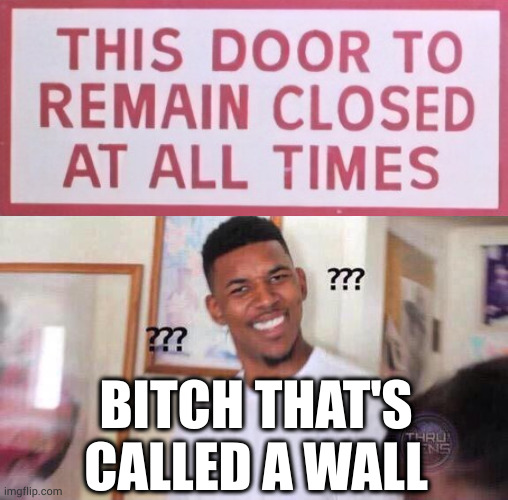 Even the Kool Aid man knows the difference between doors and walls | BITCH THAT'S CALLED A WALL | image tagged in black guy confused | made w/ Imgflip meme maker