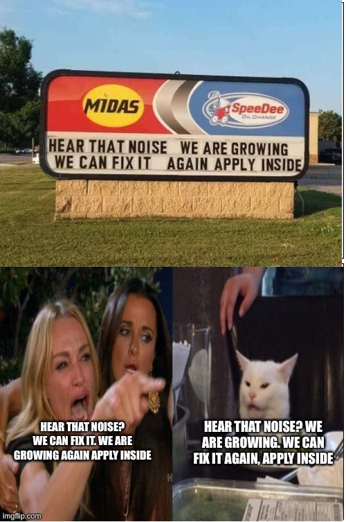 Woman yelling at cat | HEAR THAT NOISE? WE ARE GROWING. WE CAN FIX IT AGAIN, APPLY INSIDE; HEAR THAT NOISE? WE CAN FIX IT. WE ARE GROWING AGAIN APPLY INSIDE | image tagged in stupid signs | made w/ Imgflip meme maker