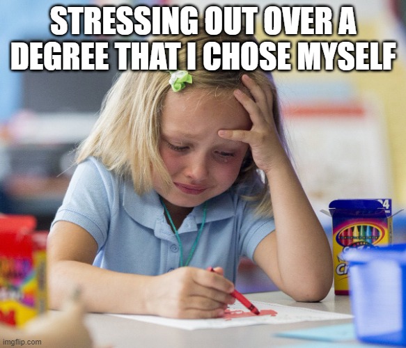 College be like | STRESSING OUT OVER A DEGREE THAT I CHOSE MYSELF | image tagged in kid crying while doing homework | made w/ Imgflip meme maker