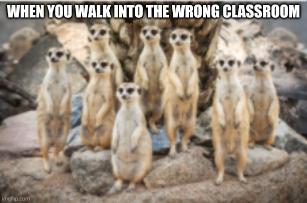 wrong class | WHEN YOU WALK INTO THE WRONG CLASSROOM | image tagged in funny memes | made w/ Imgflip meme maker
