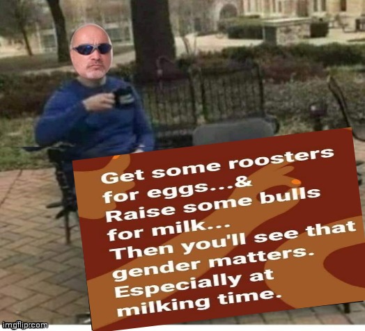 image tagged in funny memes | made w/ Imgflip meme maker