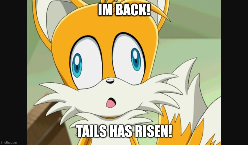 been 3 days. idk why i made this. | IM BACK! TAILS HAS RISEN! | image tagged in sonic- derp tails | made w/ Imgflip meme maker