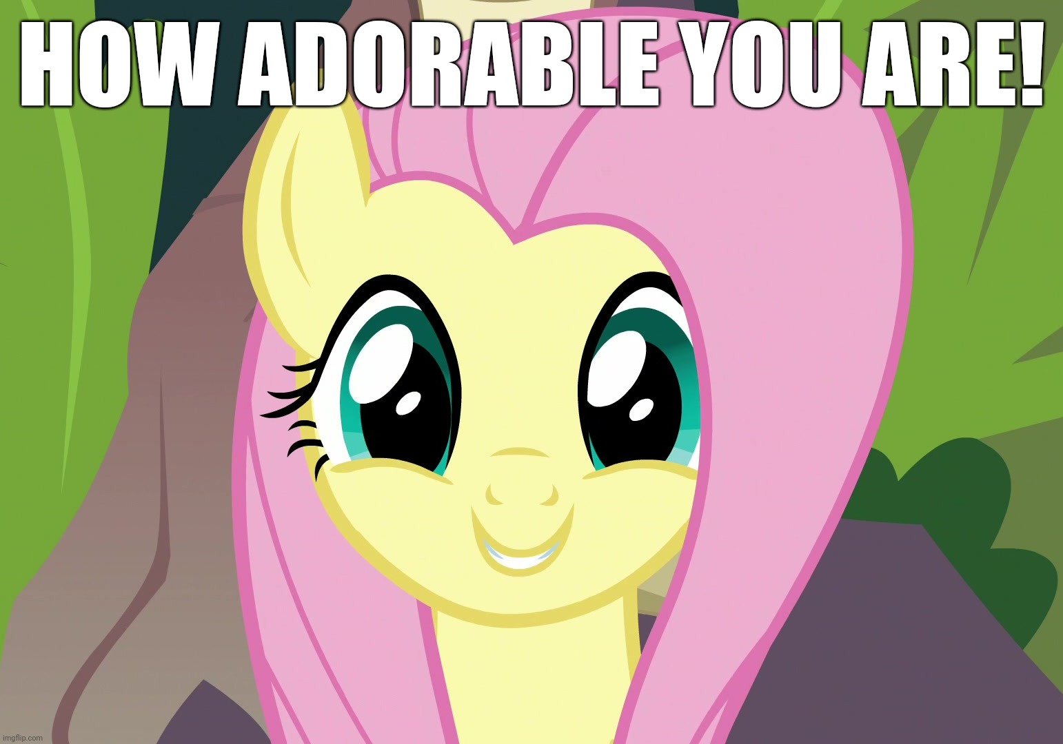 HOW ADORABLE YOU ARE! | made w/ Imgflip meme maker