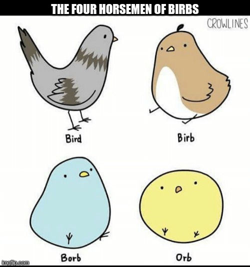 The four birbsmen | THE FOUR HORSEMEN OF BIRBS | image tagged in borb | made w/ Imgflip meme maker