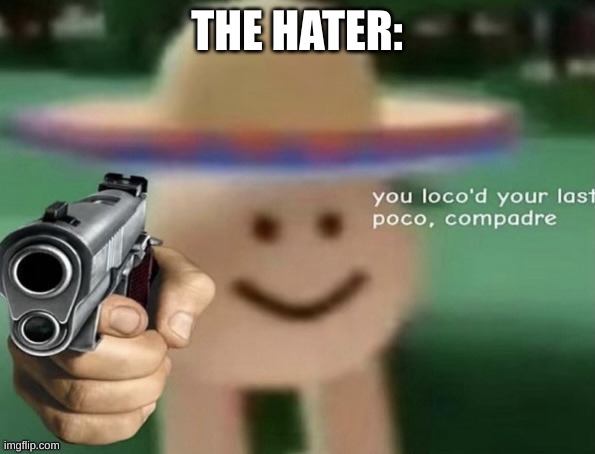 you loco'd your last poco, compadre | THE HATER: | image tagged in you loco'd your last poco compadre | made w/ Imgflip meme maker