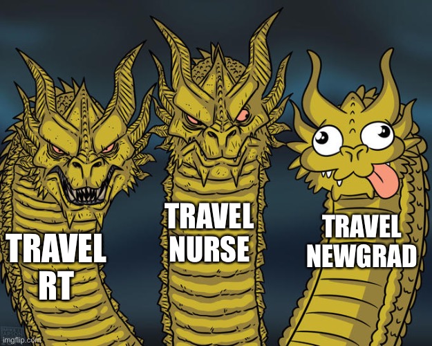 nurse RT hospital newgrad | TRAVEL NURSE; TRAVEL NEWGRAD; TRAVEL RT | image tagged in three-headed dragon,nurse,hospital,covid-19,funny,doctor | made w/ Imgflip meme maker
