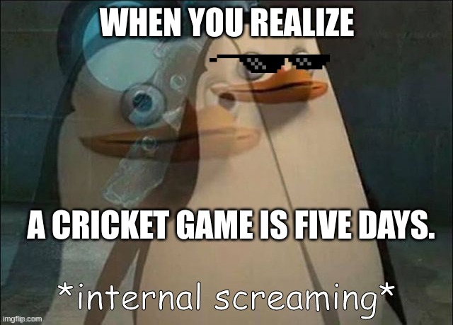 Private Internal Screaming | WHEN YOU REALIZE; A CRICKET GAME IS FIVE DAYS. | image tagged in private internal screaming | made w/ Imgflip meme maker