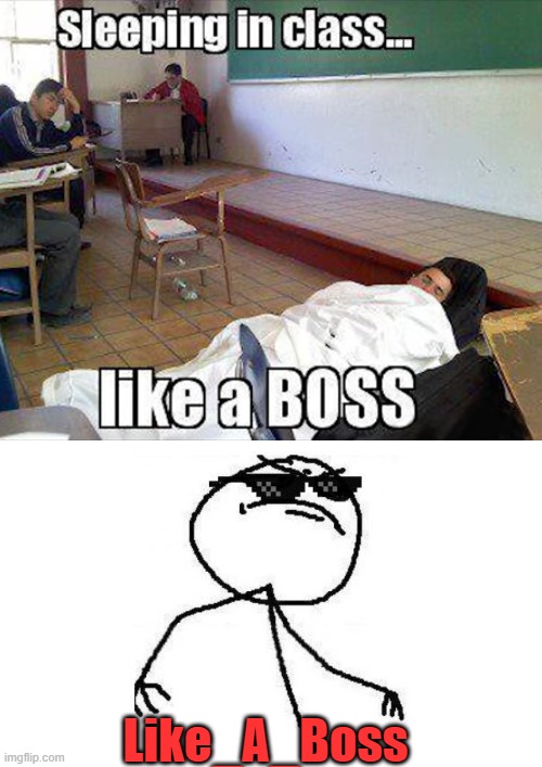 Like_A_Boss | image tagged in deal with it like a boss | made w/ Imgflip meme maker