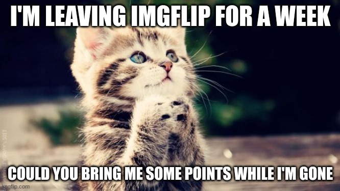 b | I'M LEAVING IMGFLIP FOR A WEEK; COULD YOU BRING ME SOME POINTS WHILE I'M GONE | image tagged in praying cat | made w/ Imgflip meme maker