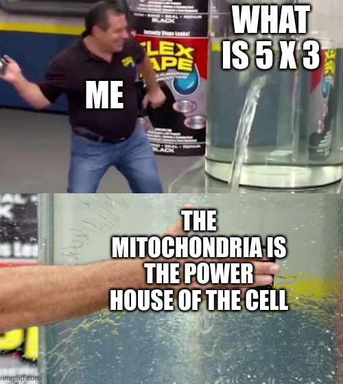 Flex Tape | WHAT IS 5 X 3; ME; THE MITOCHONDRIA IS THE POWER HOUSE OF THE CELL | image tagged in flex tape | made w/ Imgflip meme maker