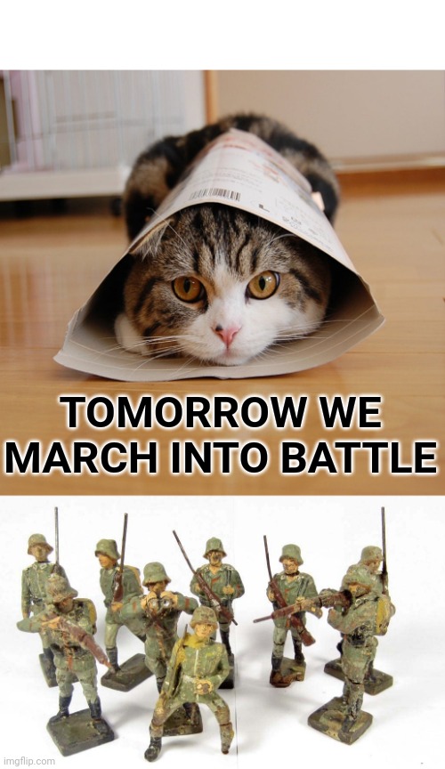 Kitty warfare | TOMORROW WE MARCH INTO BATTLE | image tagged in battle,toys,soldier,nerdy,dork | made w/ Imgflip meme maker