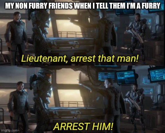 The furry fandom portrayed by halo part 7 | MY NON FURRY FRIENDS WHEN I TELL THEM I’M A FURRY | image tagged in lieutenant arrest that man two panels,halo,furry | made w/ Imgflip meme maker