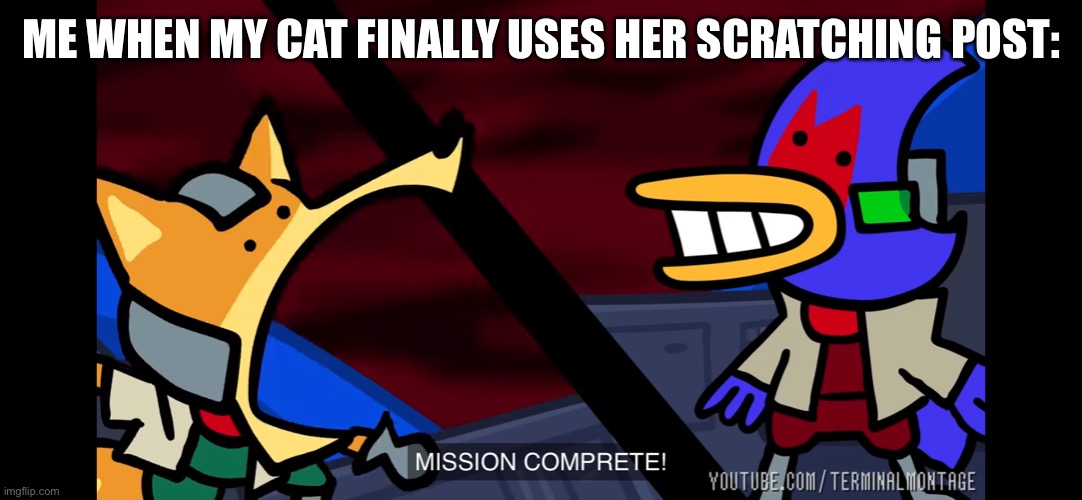 She never uses it!! | ME WHEN MY CAT FINALLY USES HER SCRATCHING POST: | image tagged in falco and fox mission comprete | made w/ Imgflip meme maker