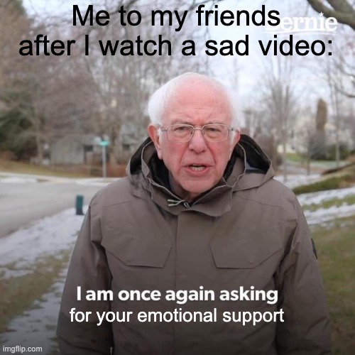 Bernie I Am Once Again Asking For Your Support Meme | Me to my friends after I watch a sad video:; for your emotional support | image tagged in memes,bernie i am once again asking for your support | made w/ Imgflip meme maker