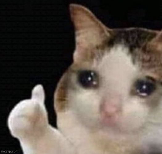 cat cry | image tagged in cat cry | made w/ Imgflip meme maker