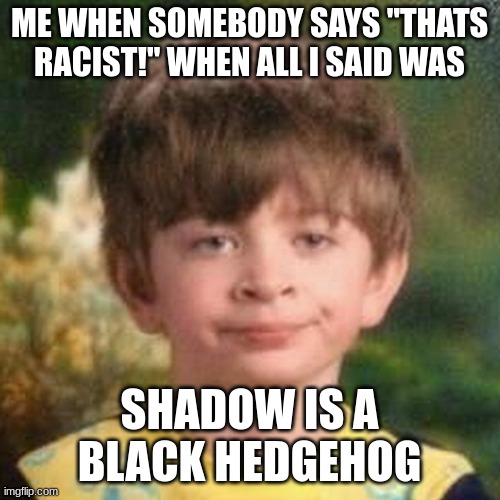 Blank Stare Kid | ME WHEN SOMEBODY SAYS "THATS RACIST!" WHEN ALL I SAID WAS SHADOW IS A BLACK HEDGEHOG | image tagged in blank stare kid | made w/ Imgflip meme maker