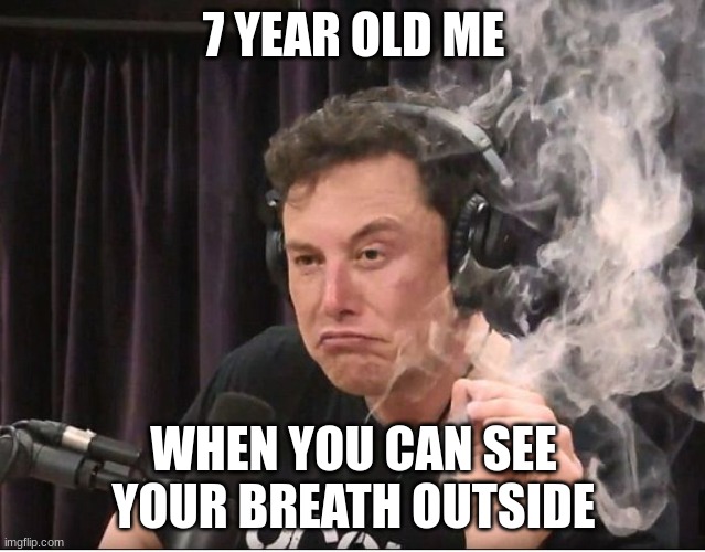 Elon Musk smoking a joint | 7 YEAR OLD ME; WHEN YOU CAN SEE YOUR BREATH OUTSIDE | image tagged in elon musk smoking a joint | made w/ Imgflip meme maker