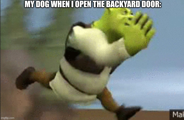 s h r e k | MY DOG WHEN I OPEN THE BACKYARD DOOR: | image tagged in me running from the fbi,shrek,dog,idk | made w/ Imgflip meme maker