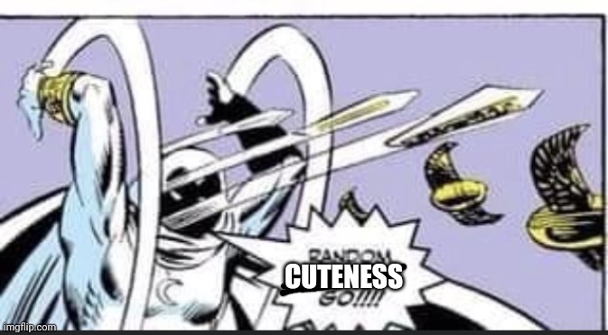 Random Bullshit Go | CUTENESS | image tagged in random bullshit go | made w/ Imgflip meme maker