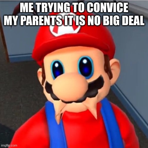 real quick | ME TRYING TO CONVICE MY PARENTS IT IS NO BIG DEAL | image tagged in sad mario | made w/ Imgflip meme maker