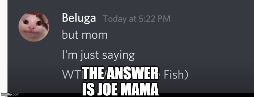 Beluga | THE ANSWER IS JOE MAMA | image tagged in beluga | made w/ Imgflip meme maker